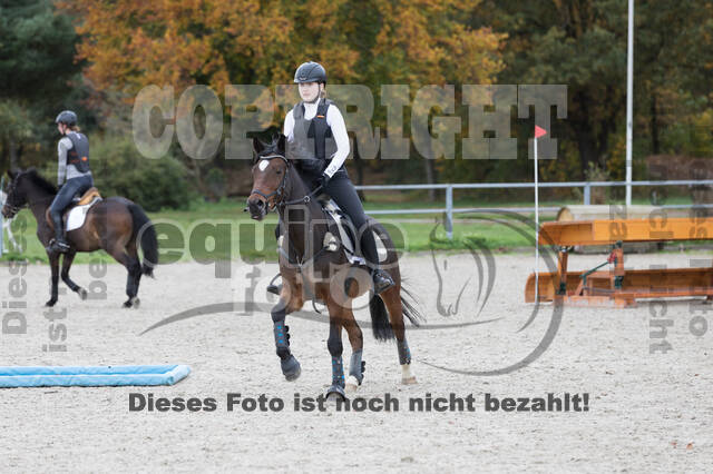 IGV Lehrgang der Sieger der Cups mit Frank Ostholt