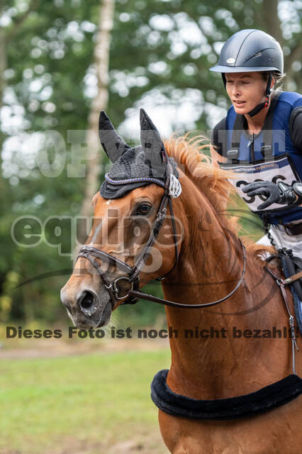 De Peelbergen (August 2020)