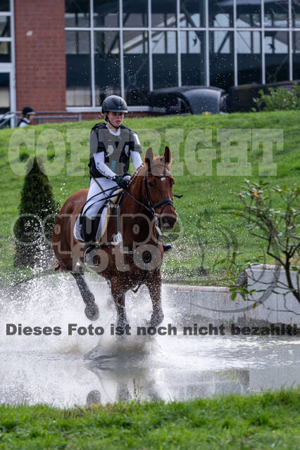 Goldene Schärpe 2020 - Pferde