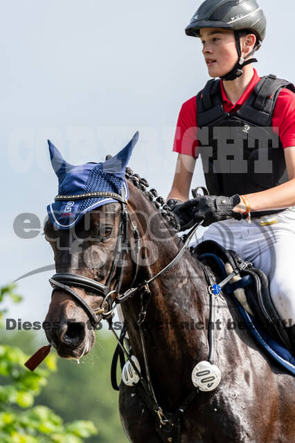 Goldene Schärpe 2021 - Ponys