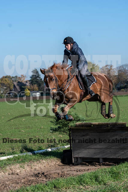 Vielseitigkeitslehrgang mit Jürg Kurbel (9.+10.11.2019)