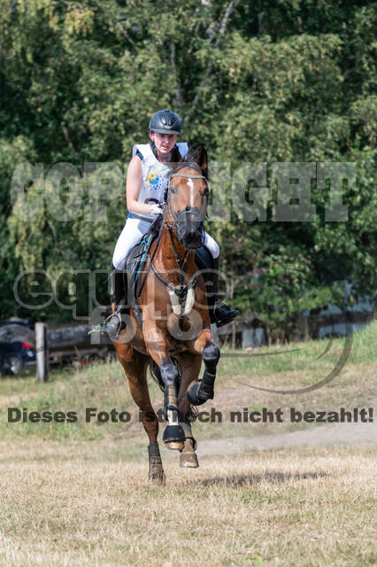 Late-Entry Vielseitigkeit Hamminkeln/Wesel (01.+02.08.2020)