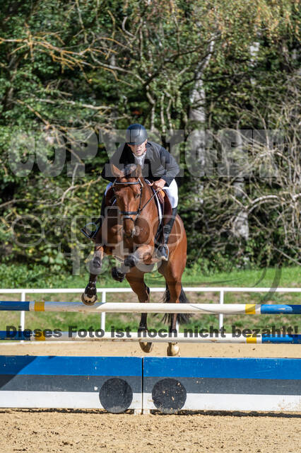RFV Dinslaken-Hiesfeld (Herbstturnier)