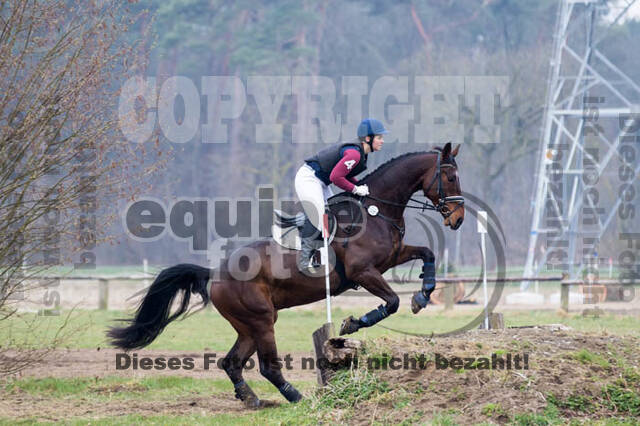Jungpferdetag Hamminkeln