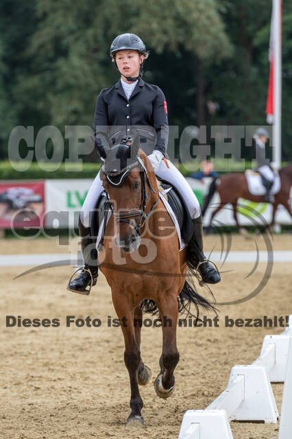 Goldene Schärpe 2021 - Ponys