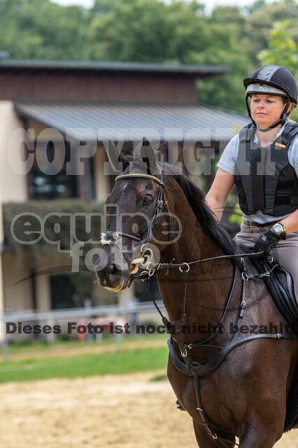 Hunter Geländetraining 10.07.2021 (Sonsbeck)
