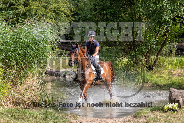 Late-Entry Vielseitigkeit Hamminkeln/Wesel (01.+02.08.2020)