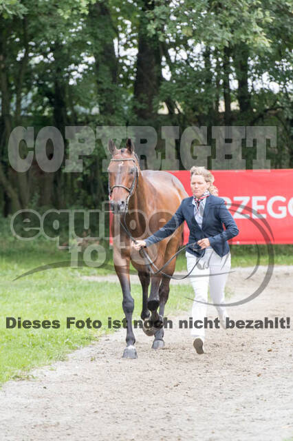 FEI European Championship Eventing 2017