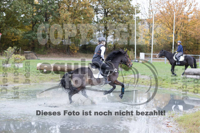IGV Lehrgang der Sieger der Cups mit Frank Ostholt