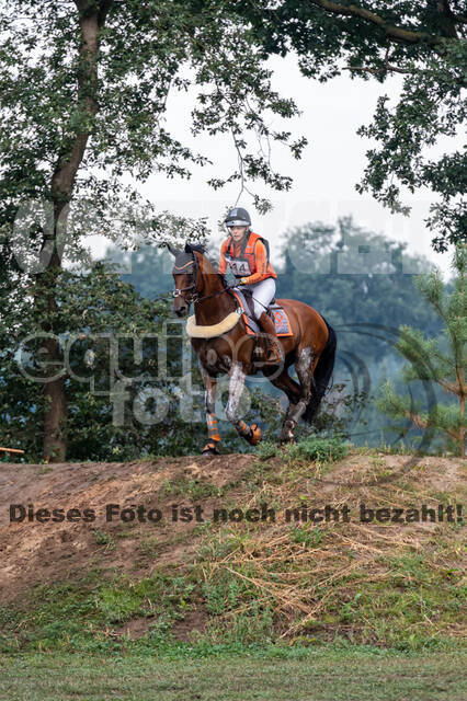 De Peelbergen (August 2020)