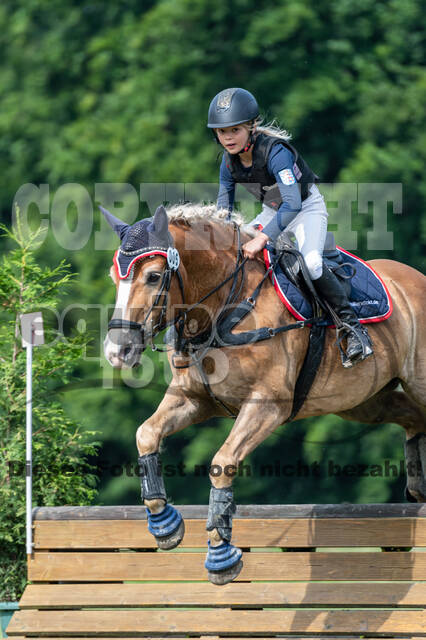 Goldene Schärpe 2021 - Ponys