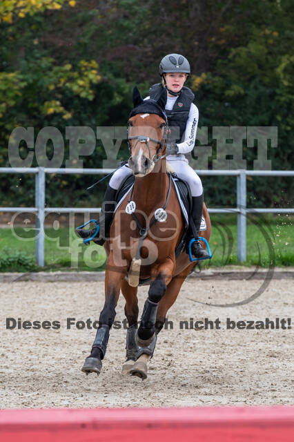 Goldene Schärpe 2020 - Pferde