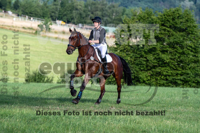 Bonn-Rodderberg Late-Entry-Vielseitigkeit (30.06.2020)