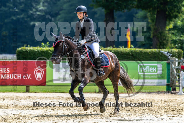 Goldene Schärpe 2021 - Ponys