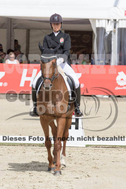 FEI European Championship Eventing 2017