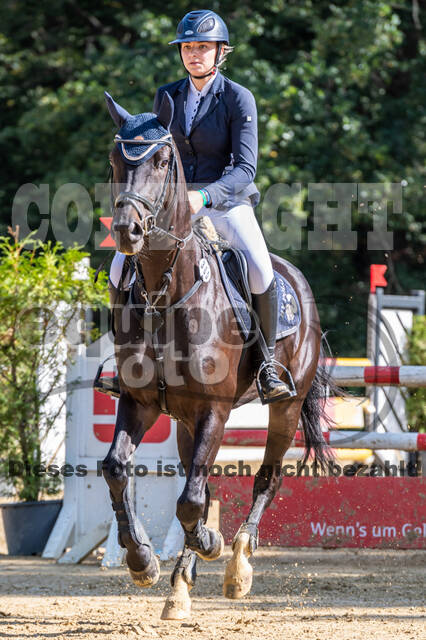 RFV Dinslaken-Hiesfeld (Herbstturnier)