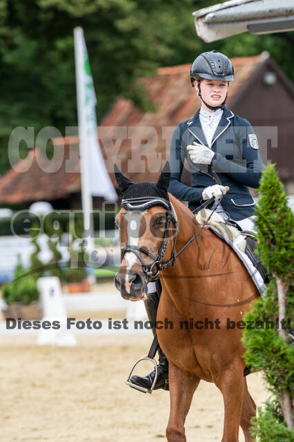 Goldene Schärpe 2021 - Ponys