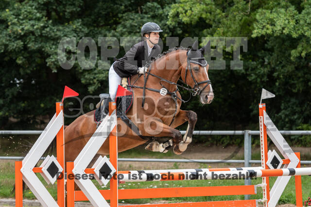 Late-Entry-Vielseitigkeit Langenfeld (06.+07.07.2020)