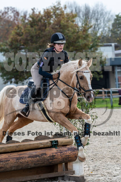 IGV Lehrgang der Sieger der Cups mit Frank Ostholt