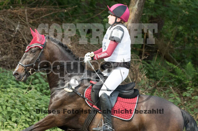 Vielseitigkeitsturnier ZRFV von Lützow Hamminkeln