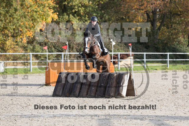 IGV Lehrgang der Sieger der Cups mit Frank Ostholt