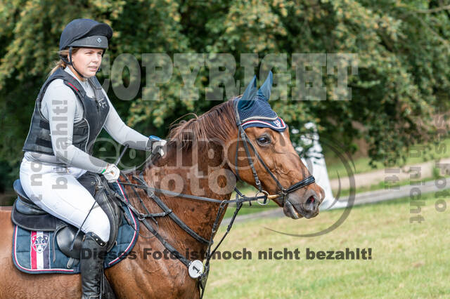 Late-Entry-Vielseitigkeit Langenfeld (11.+13./14.06.2020)