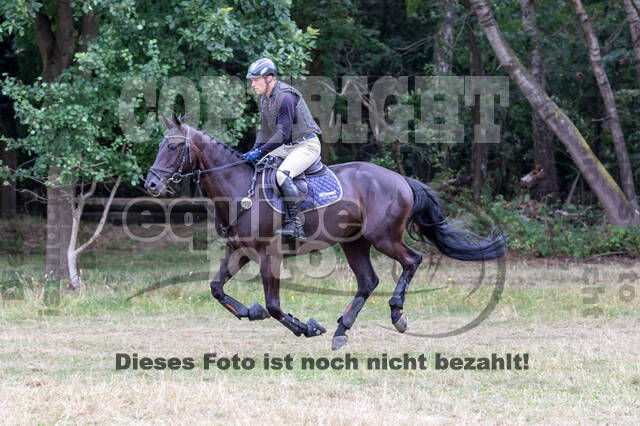Late-Entry Vielseitigkeit Hamminkeln/Wesel (01.+02.08.2020)