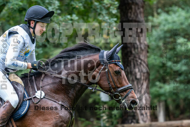 Vielseitigkeit RSV Wesel Obrighoven (26.+27.09.2020)