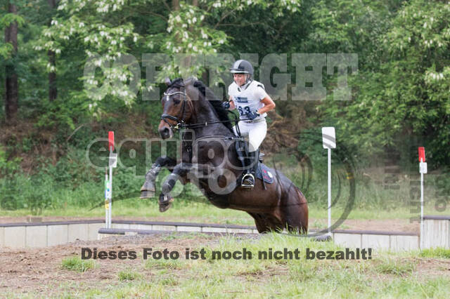 Vielseitigkeitsturnier ZRFV von Lützow Hamminkeln