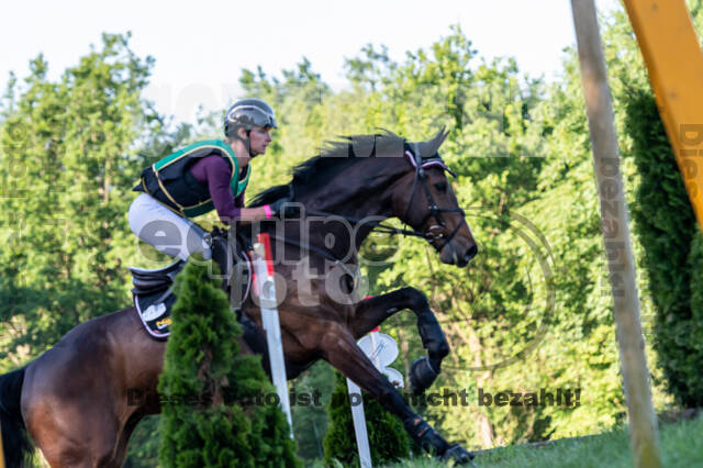 Westerstede Horse Trials (10.-13.06.2021)