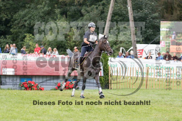 FEI European Championship
