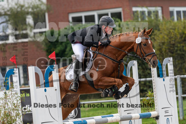 Goldene Schärpe 2020 - Pferde