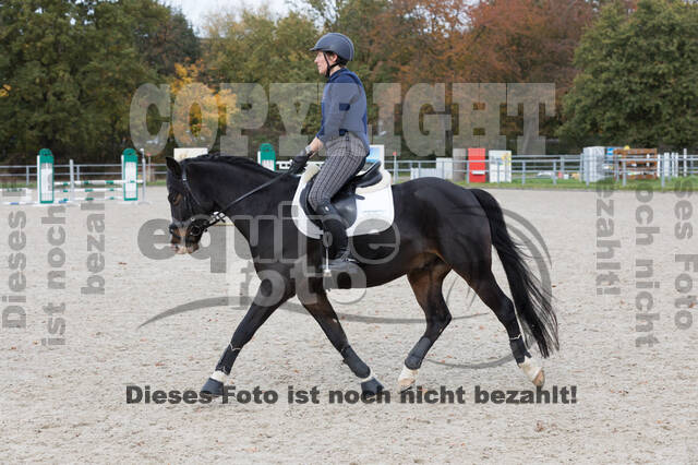 IGV Lehrgang der Sieger der Cups mit Frank Ostholt