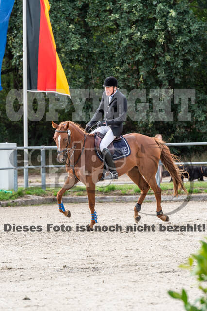 Landesturnier Rheinland, Vielseitigkeit, 22.+23.08.2020