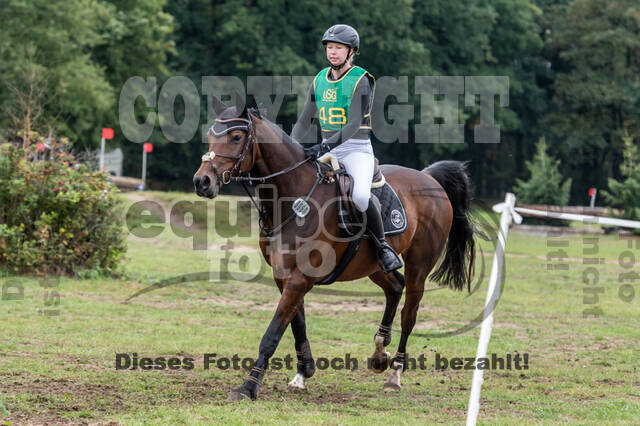 Vielseitigkeit RSV Wesel Obrighoven (26.+27.09.2020)