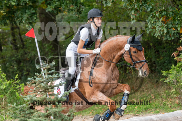 Goldene Schärpe 2020 - Pferde