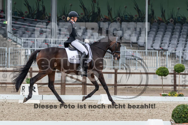 Deutsche Meisterschaft Vielseitigkeit (Luhmühlen)