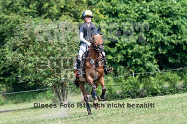 Goldene Schärpe 2021 - Ponys