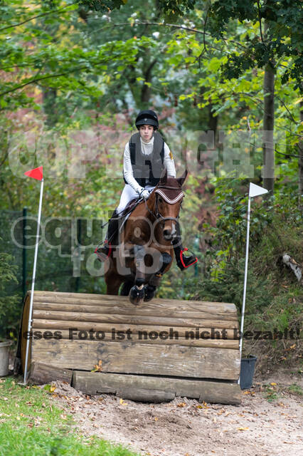 Goldene Schärpe 2020 - Pferde