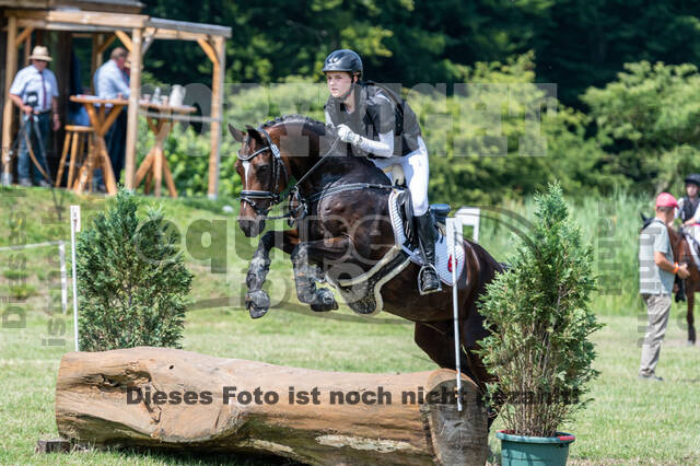 Goldene Schärpe 2021 - Ponys