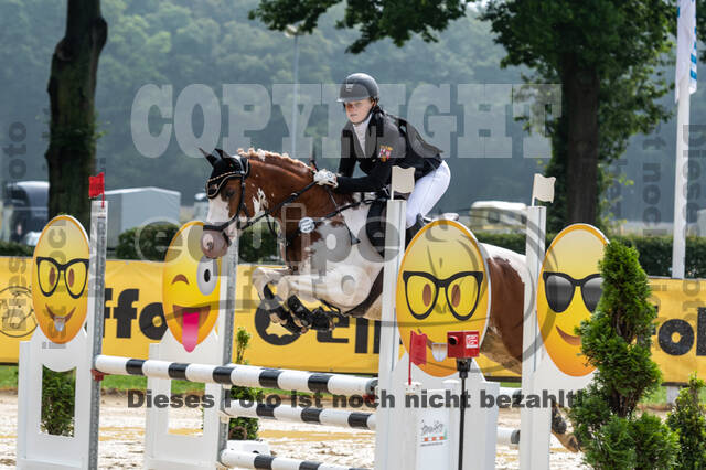 Goldene Schärpe 2021 - Ponys