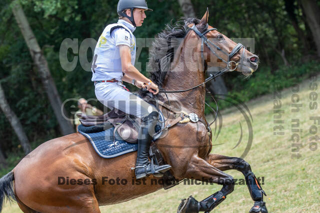 Late-Entry Vielseitigkeit Hamminkeln/Wesel (01.+02.08.2020)
