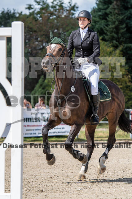 Landesturnier Rheinland, Vielseitigkeit, 22.+23.08.2020