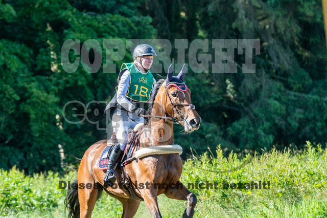 Westerstede Horse Trials (10.-13.06.2021)