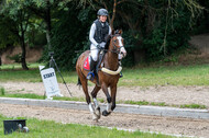 Late-Entry-Vielseitigkeit Langenfeld (11.+13./14.06.2020)