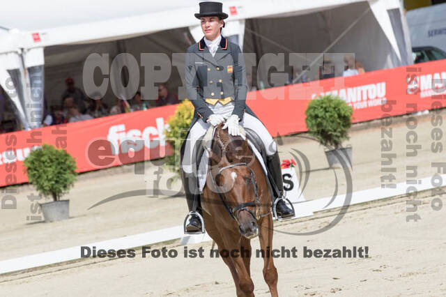 FEI European Championship Eventing 2017