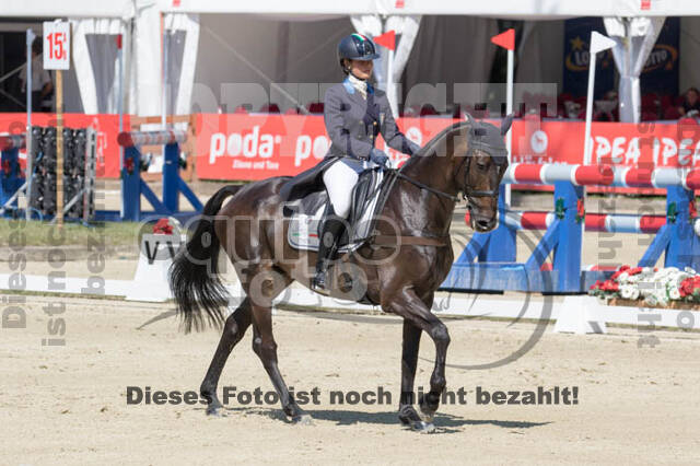 FEI European Championship