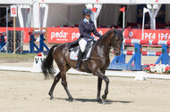 FEI European Championship