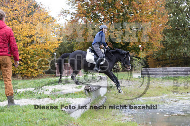 IGV Lehrgang der Sieger der Cups mit Frank Ostholt