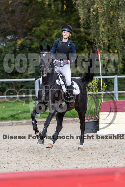 Reiter Schleswig-Holstein